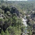 Le ruisseau au dessus de la cascade de Piscia (...)