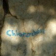Chlorochose