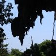 Fantastique stalactite de Wild Kingdom
