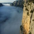 Brouillard dans le canyon